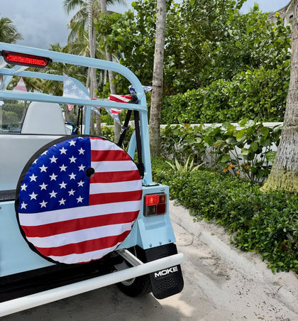 Tire Cover